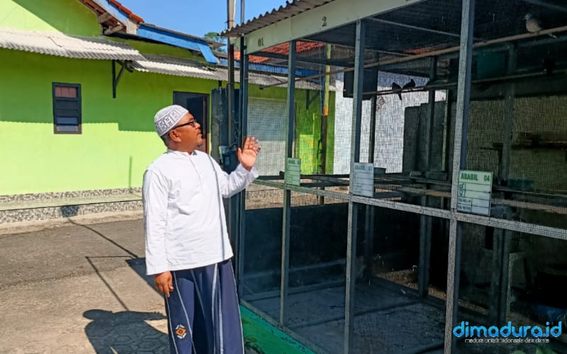 Abdul Aziz Ali, pemilik Ring Ababil Bird Farm, Desa Dulang, Kecamatan Torjun, Kabupaten Sampang (Foto; Zainullah for dimadura.id)