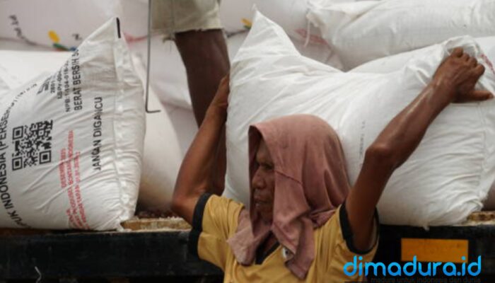 Foto:  Seorang Karyawan Toko Sedang Menurunkan Pupuk Dari Truk, (Istimewa/Doc. Dimadura).