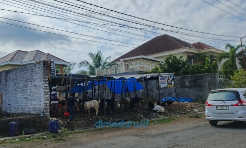 Foto: Salah satu gerai yang menjual kambing jelang Hari Raya Iduladha di daerah kota Sumenep. (Ar/Doc. Dimadura).