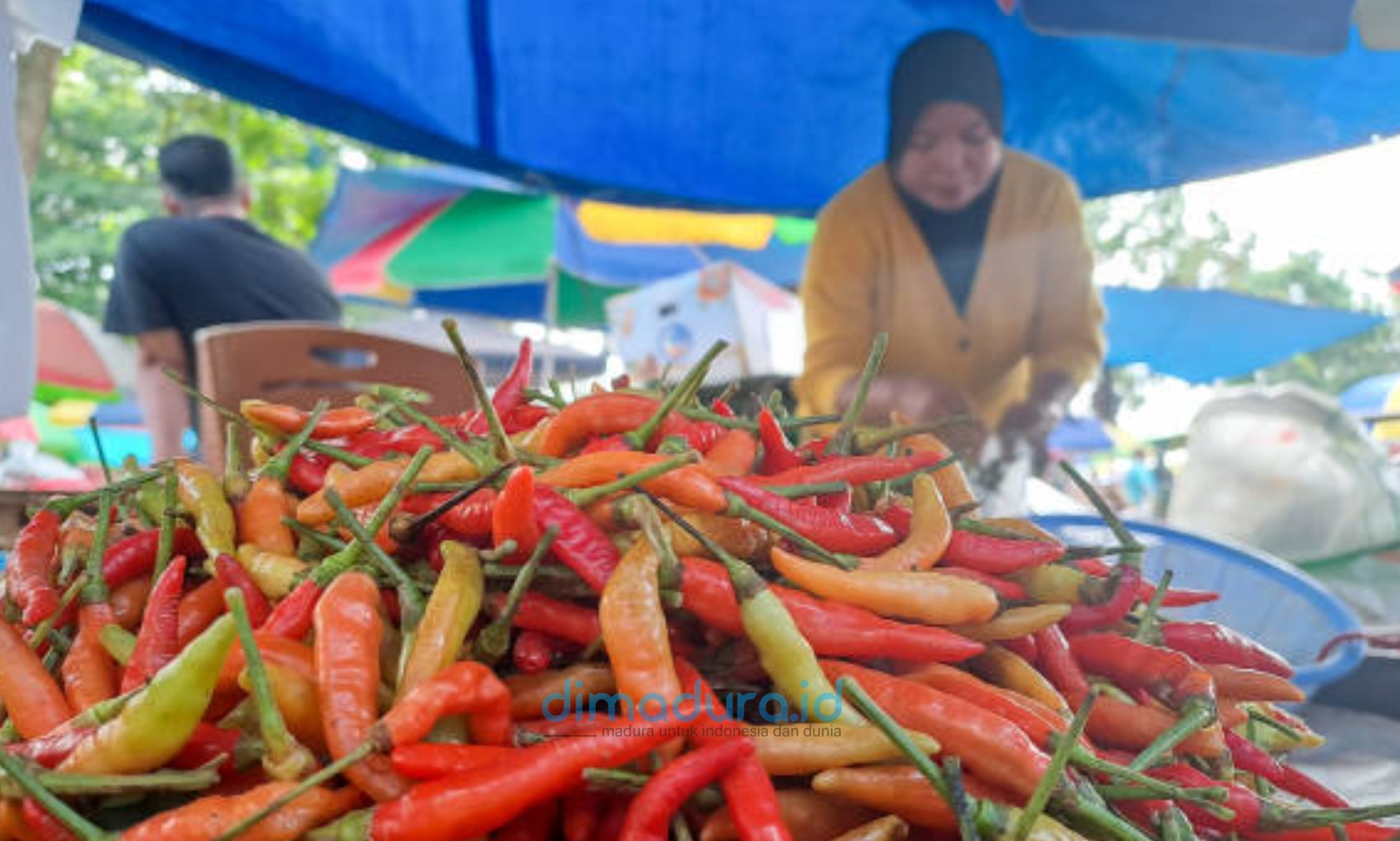 ‎Foto: Pedagang cabai . (Istimewa/Doc. Dimadura).