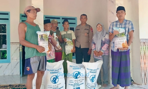 Foto: Penyaluran Bantuan Bibit Jagung Hibrida Tb10 Kepada Kelompok Tani Song Osong Lombung Di Dusun Tolasan, Desa Grujugan, Kecamatan Gapura. (Doc. Dimadura).