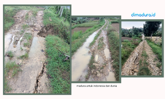 Kondisi Jalan di Desa Montorna, Kecamatan Pasongsongan, Sumenep, Jawa Timur, Rabu 3 Juni 2026 (Foto: doc.dimadura)